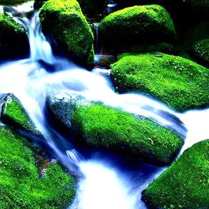 百度1个性感的脱衣舞
